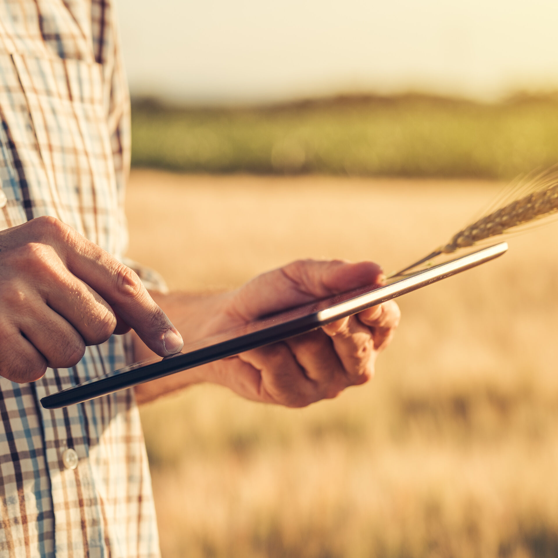 Smart Farming